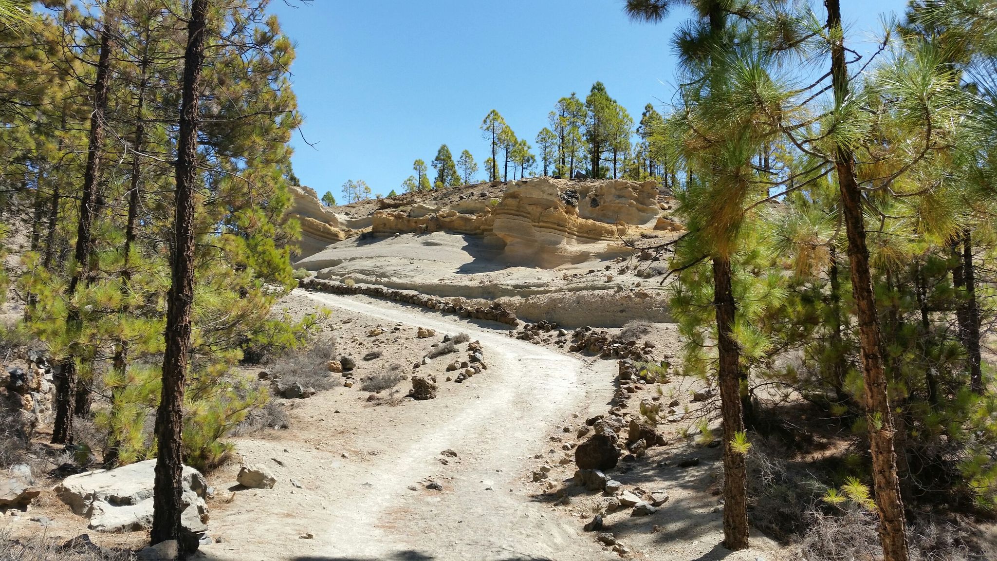 Top 20 Hikes and Walks in Corona Forestal | Komoot