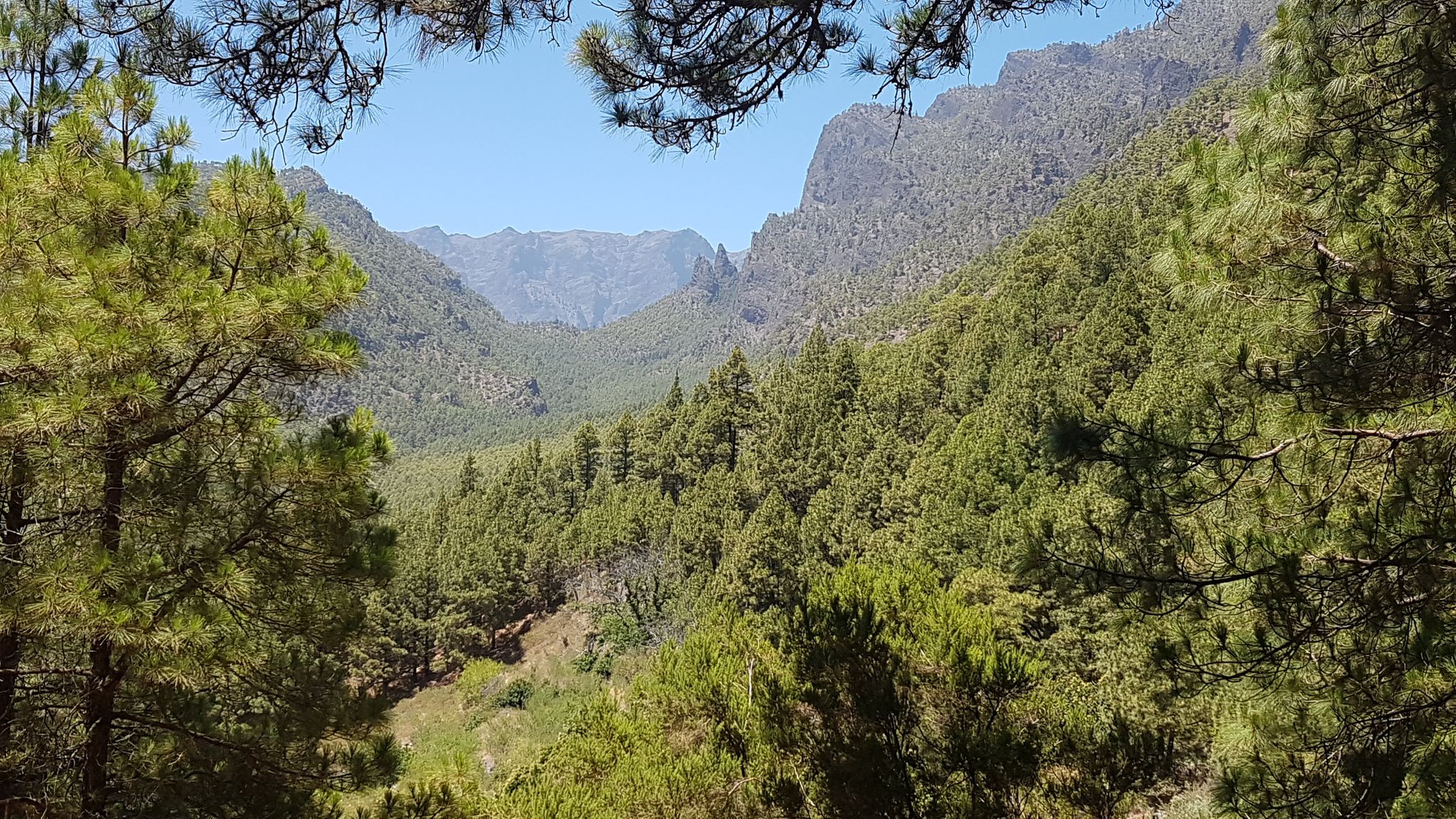 Las 10 rutas de senderismo más top en La Caldera de Taburiente | Komoot