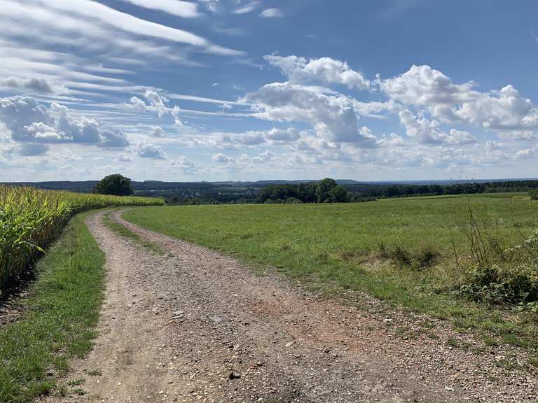 Die schönsten Wanderungen rund um Pinzberg | Komoot