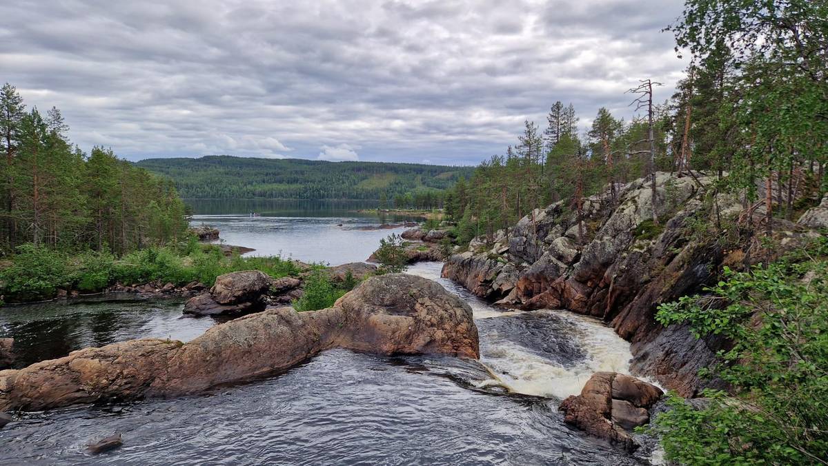 The best walks and hikes in Muddus | Komoot
