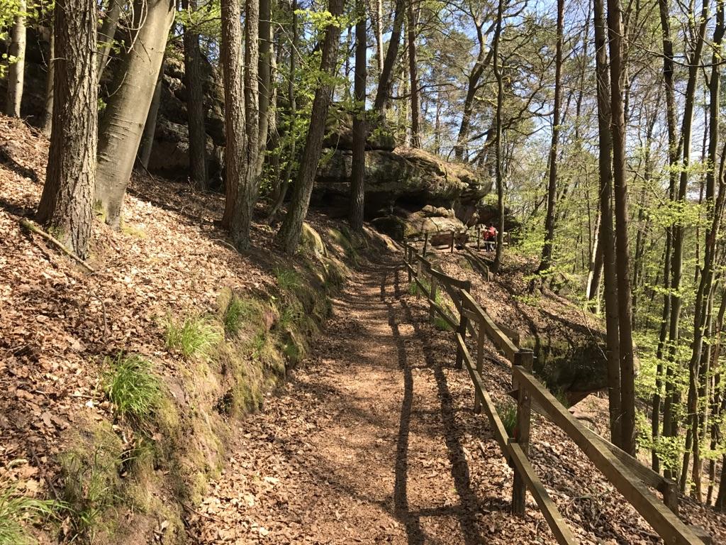 Die 10 Schönsten Wanderungen Rund Um Rodalben | Komoot