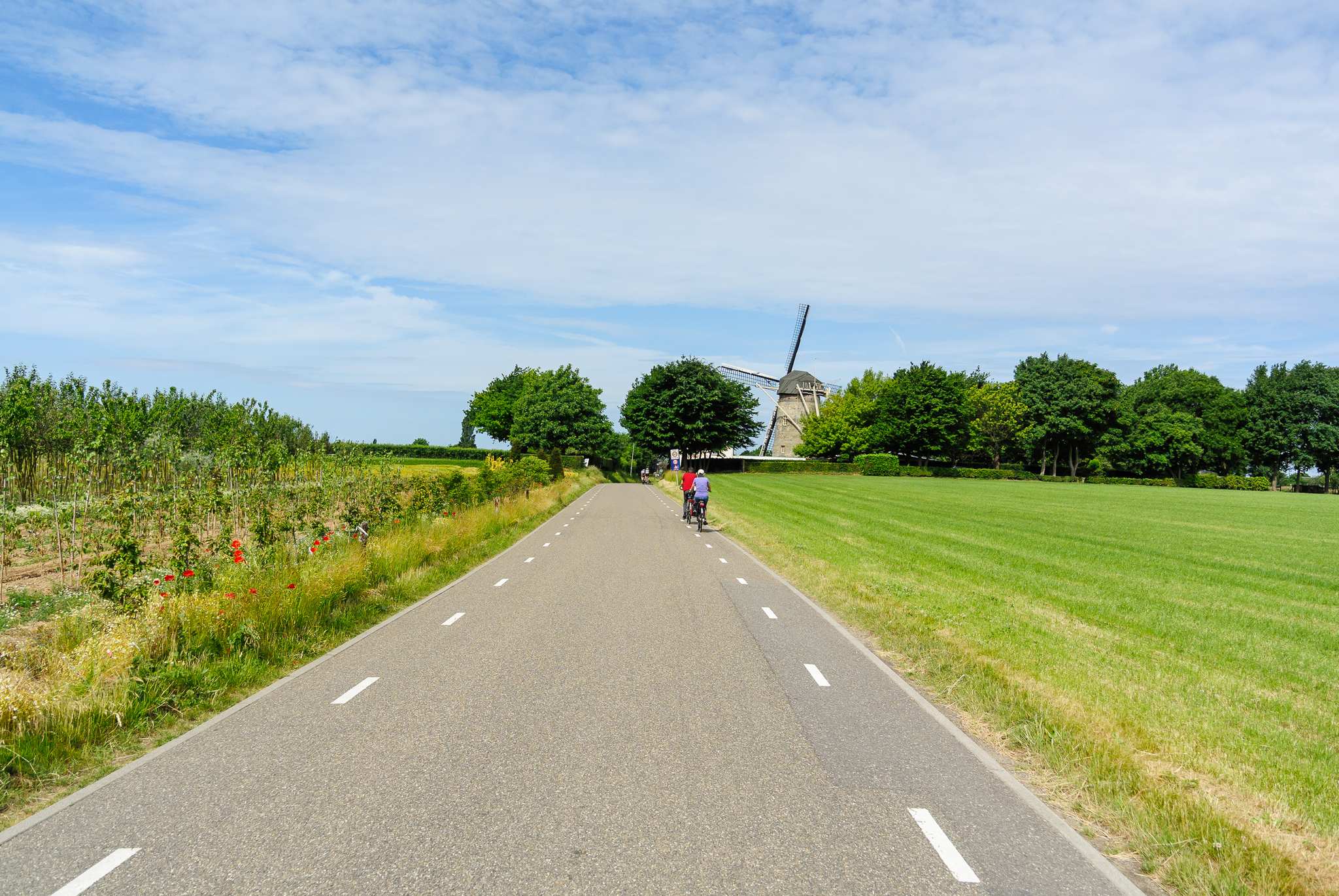 Best road bike routes cheap near me