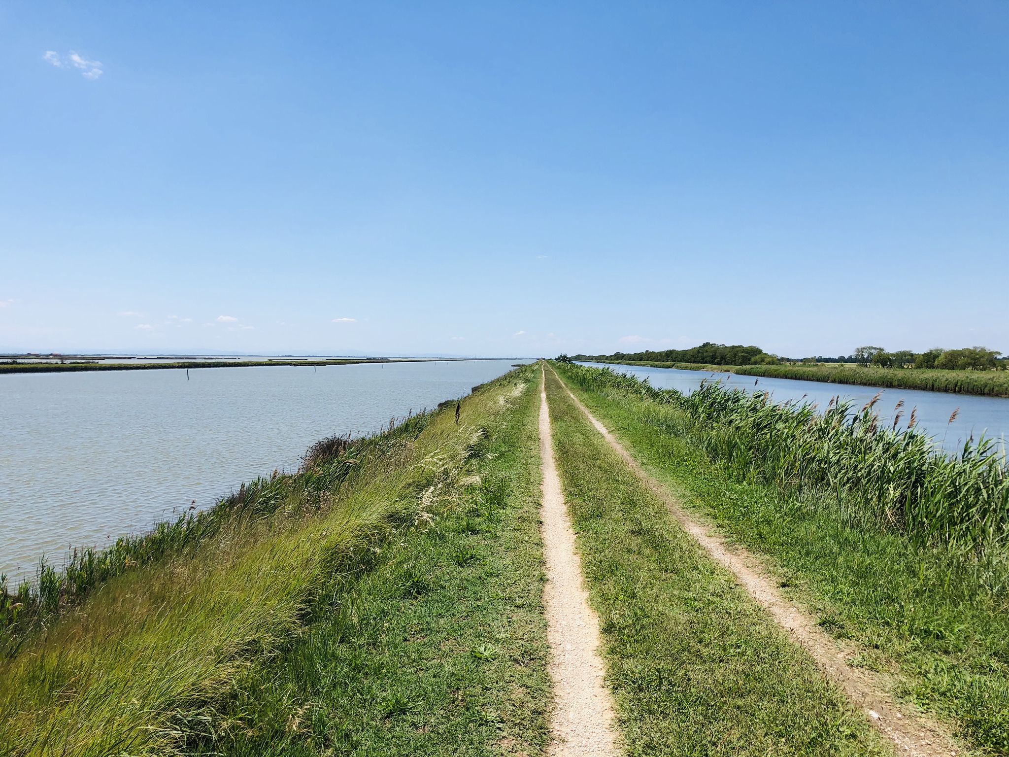 ravenna bici tour