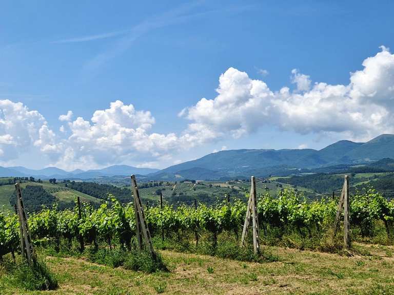 Top 10 Hikes and Walks around Castel Ritaldi | Komoot