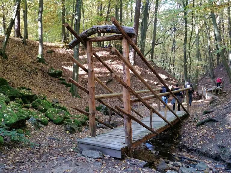 Die 10 schönsten Wanderungen rund um Rüdesheim am Rhein | Komoot