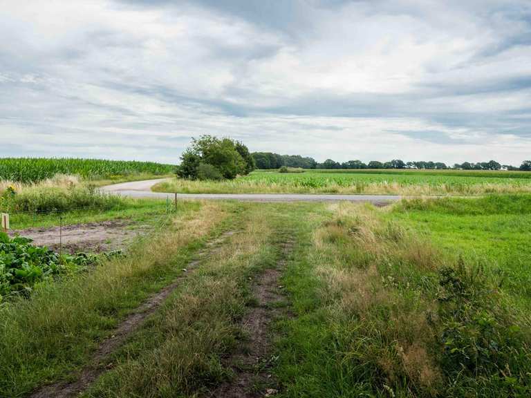 Die 10 schönsten Wanderungen rund um Rhade | Komoot