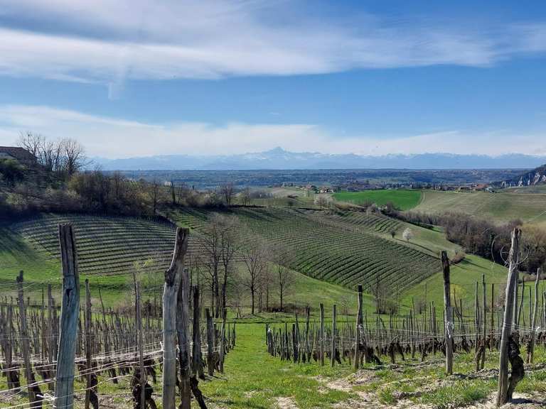 I migliori itinerari e percorsi MTB nei dintorni di Dogliani | komoot