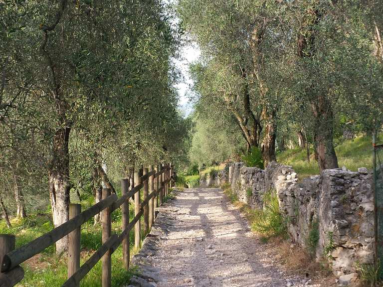 Le 20 escursioni e trekking migliori nei dintorni di San Zeno di