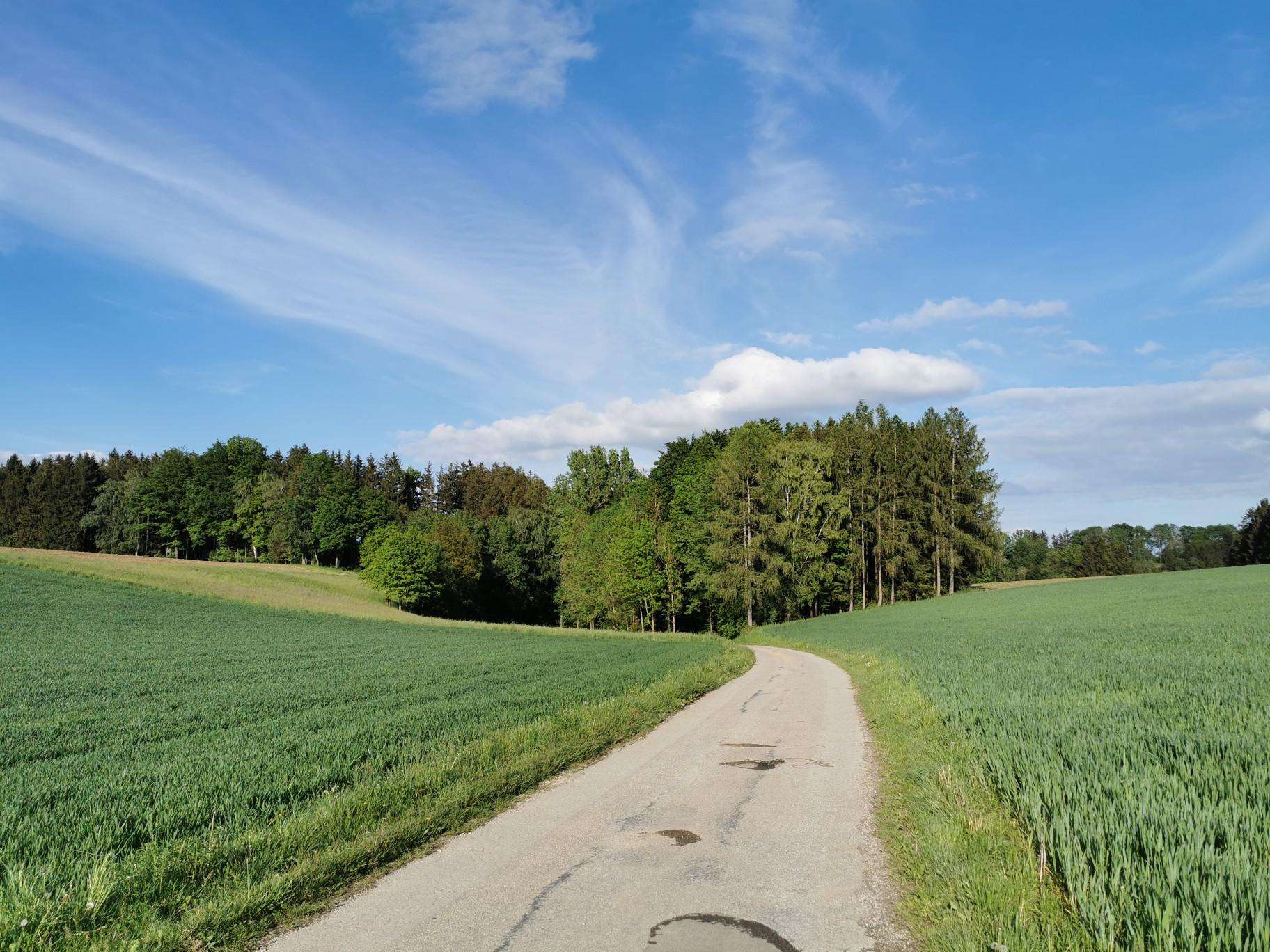 Die 10 schönsten Wanderungen rund um Roitham am Traunfall | Komoot