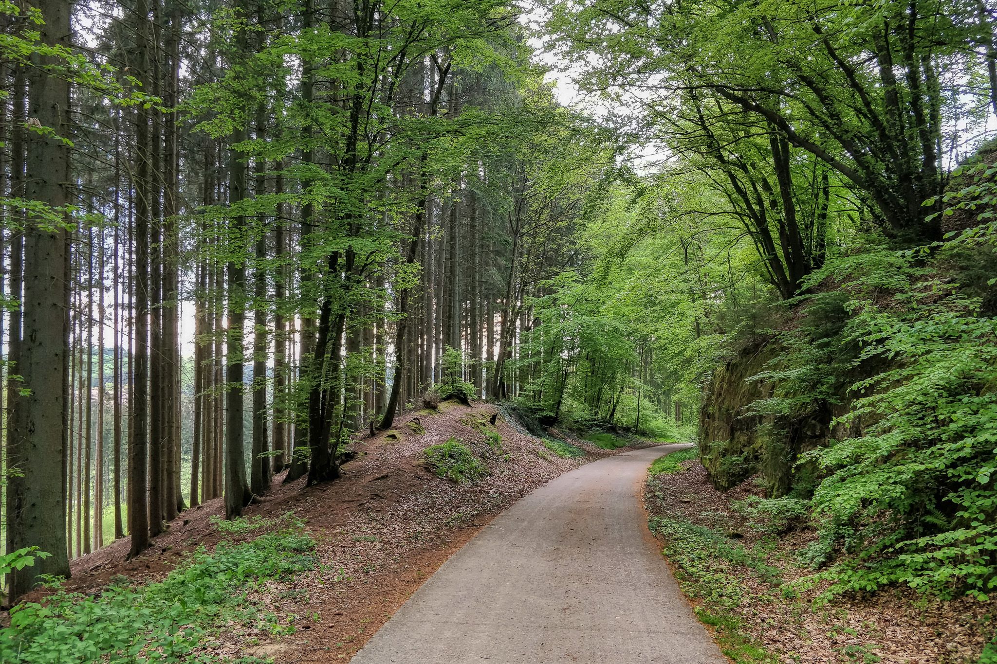 Top 10 Bike Rides and Cycling Routes in Luxemburg Komoot