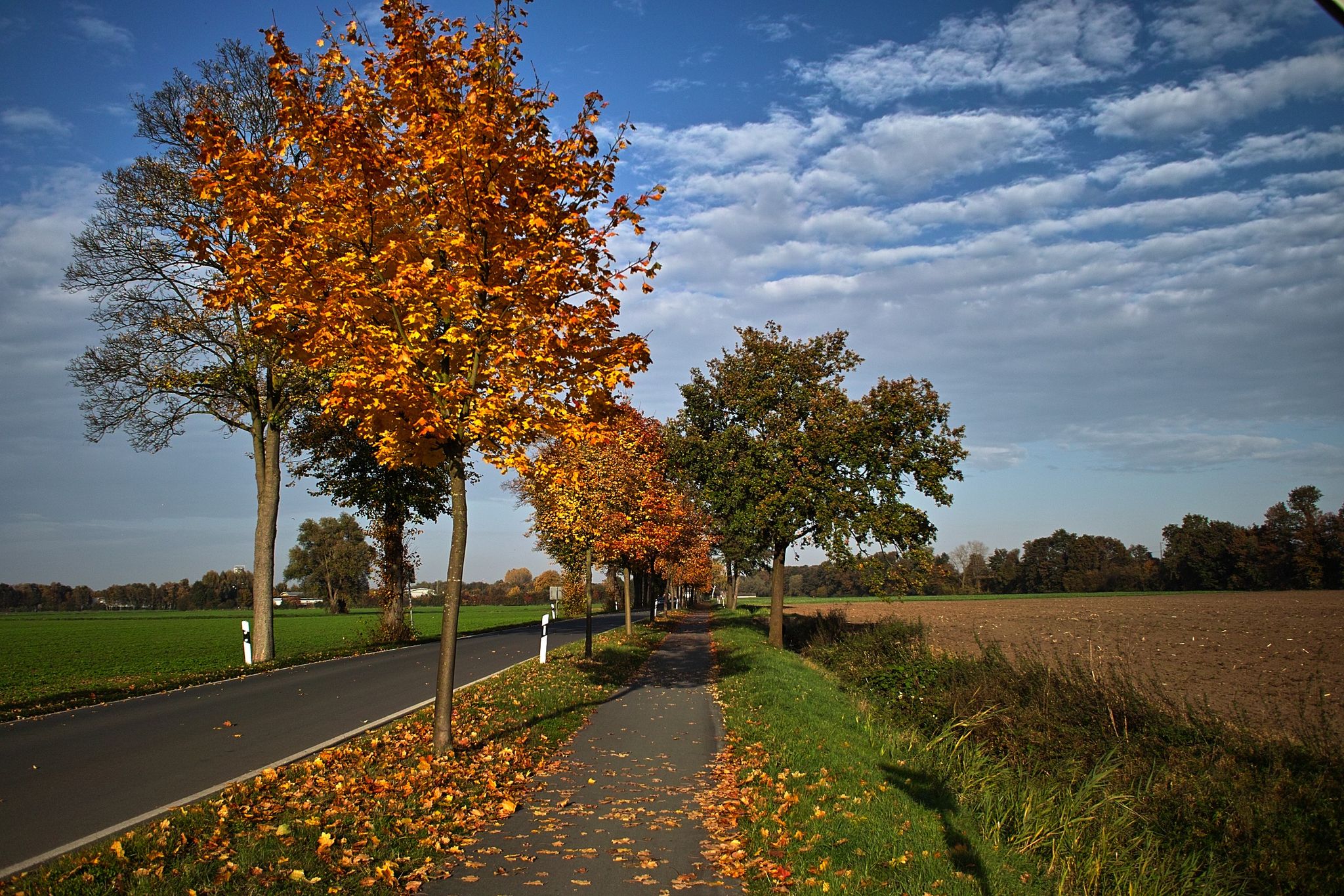 cycling trips germany