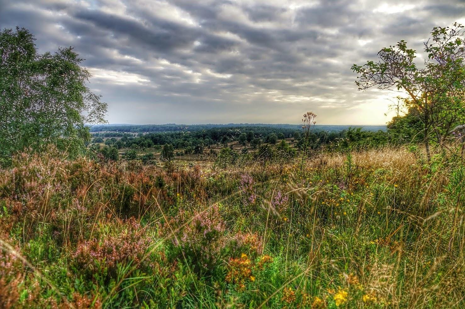 Nacktwanderweg undeloh