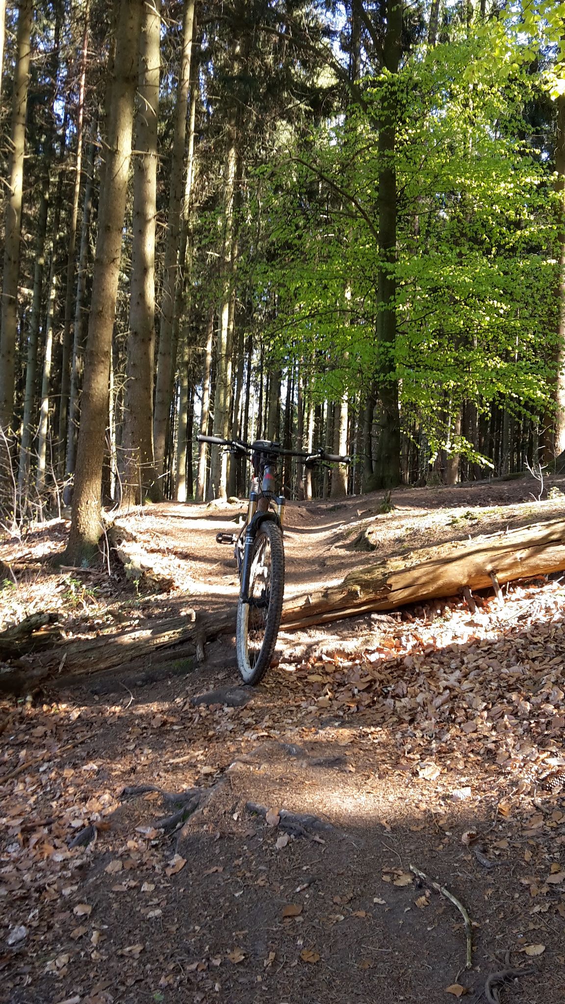puky fahrrad 12 zoll erfahrungen YOUKE Kinderfahrrad ab 3 Jahre | Leichtes Kinder mit Rücktritt & Handbremse | Kinderfahrrad für Einsteiger | Ergonomisch & sicher | Fahrrad Kinder ab 3 Jahre Deluxe Pet Bicycle Trailer GORE C5 GORE-TEX INFINIUM Stück:1 Stück
