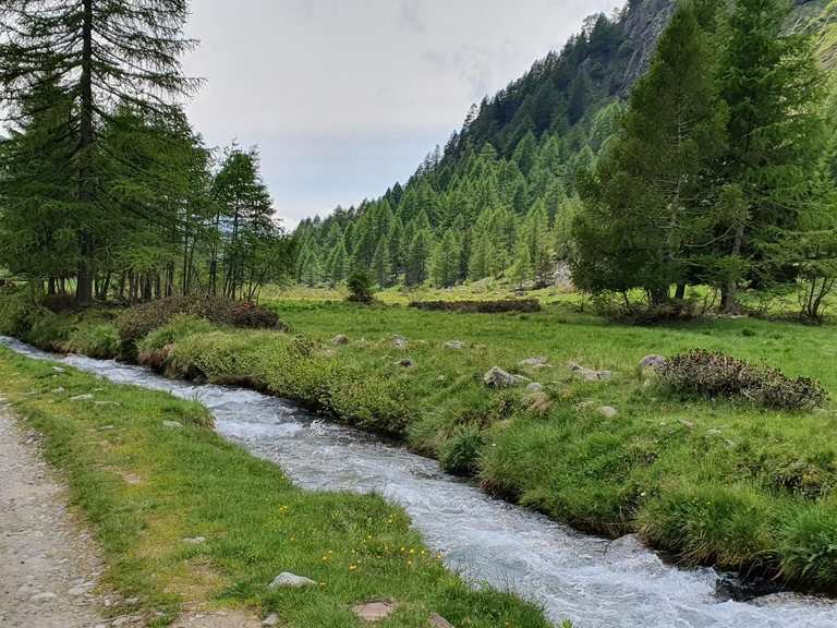 The best walks and hikes around Vezza D'Oglio | Komoot