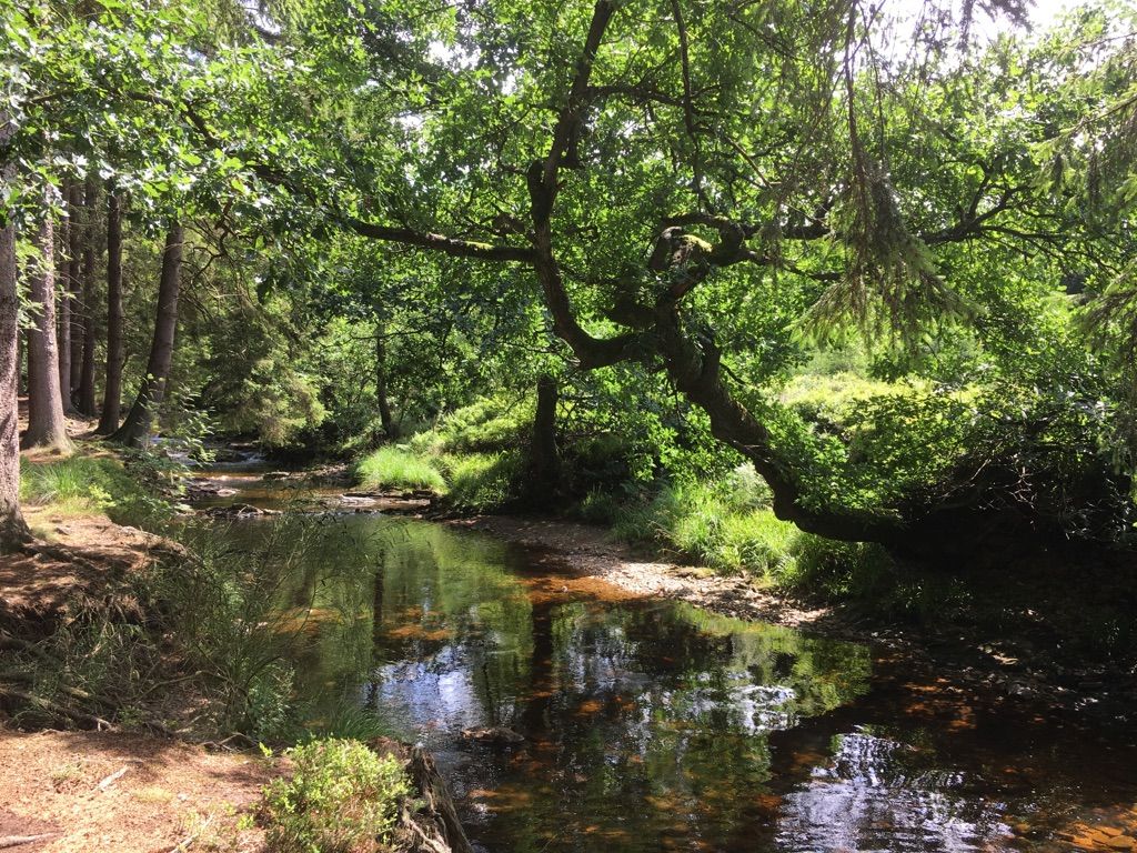 trek belgique 3 jours