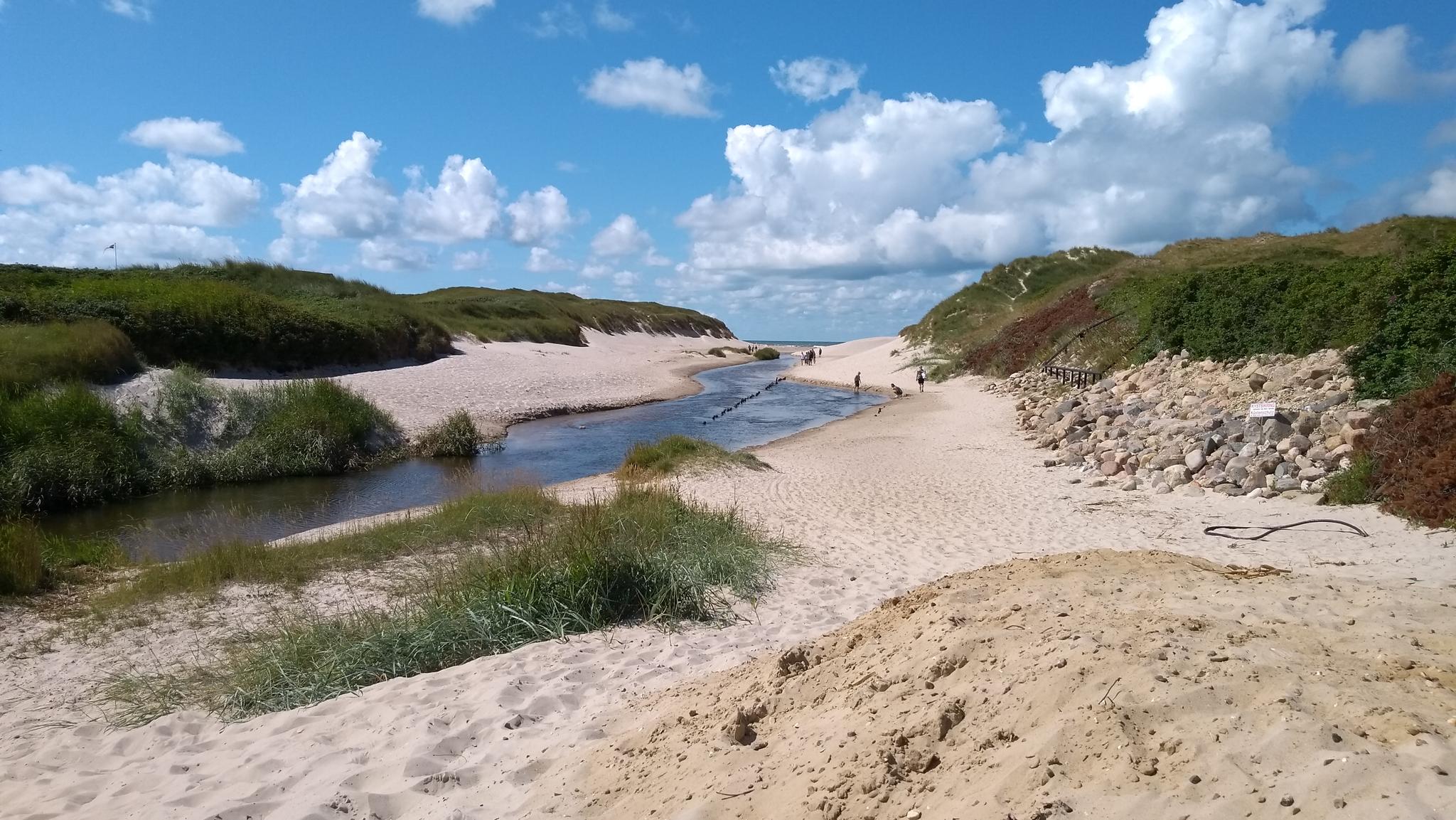 mtb trails denmark