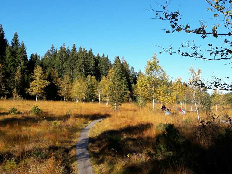 Die 20 schönsten Wanderungen rund um Sulzberg | Komoot