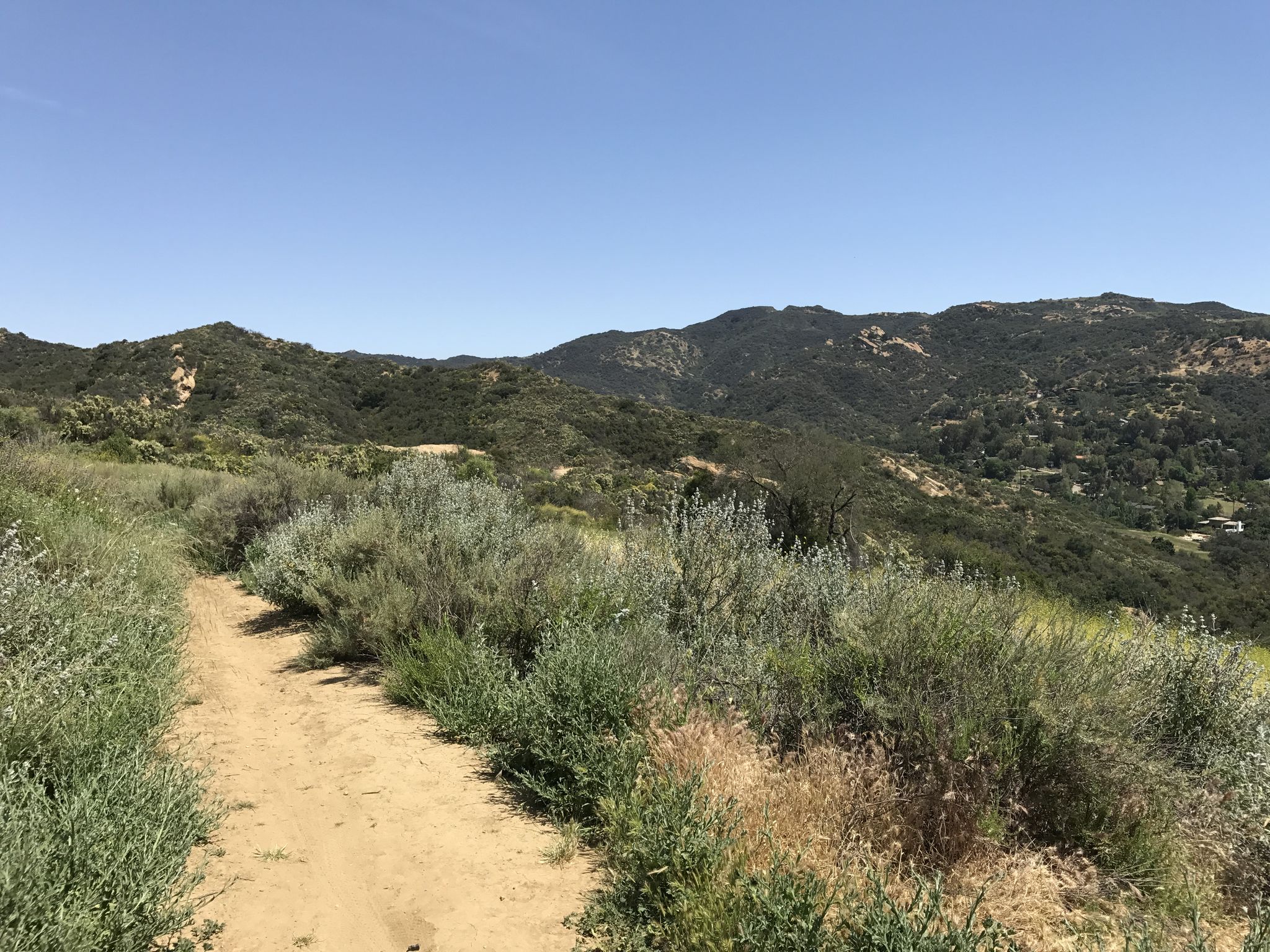 Santa monica mountain bike trails outlet