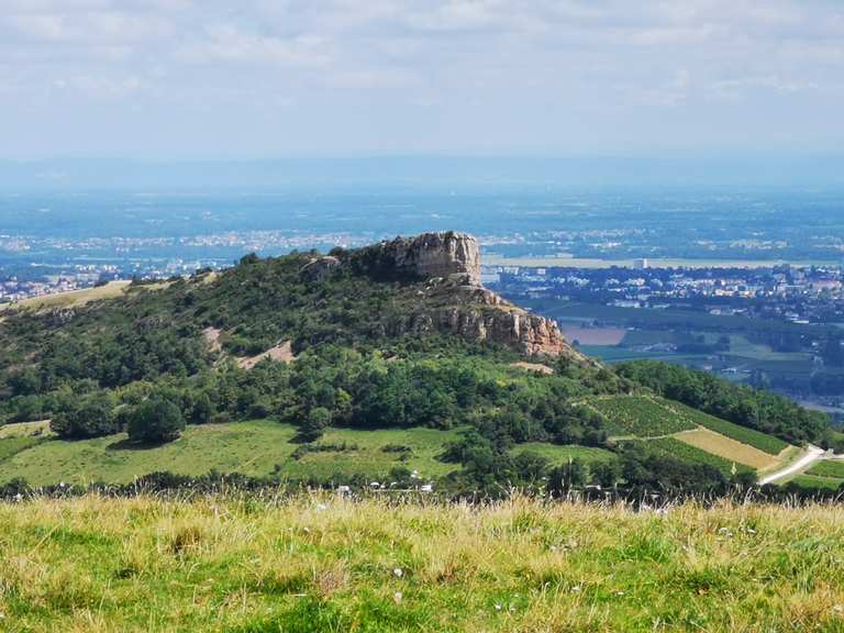 I 20 itinerari e percorsi MTB migliori nel Dipartimento di Saona e