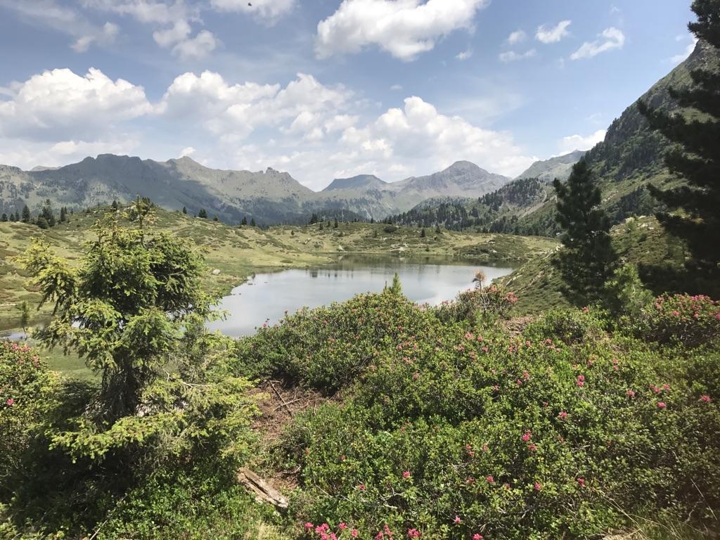 Le 20 Escursioni E Trekking Migliori Nei Dintorni Di Castello-Molina Di ...