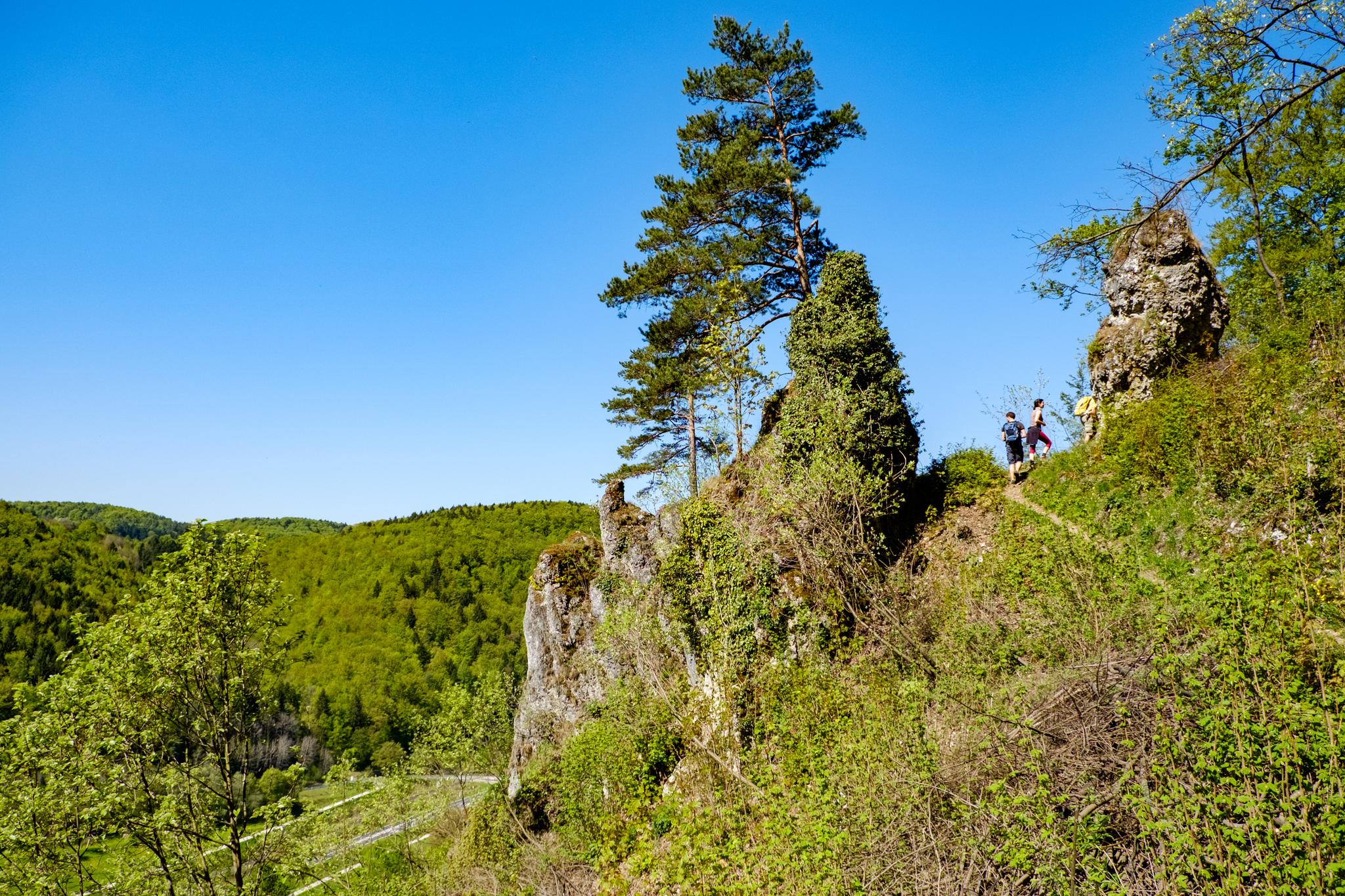 Die 10 Schönsten Wanderungen Rund Um Wiesenttal | Komoot