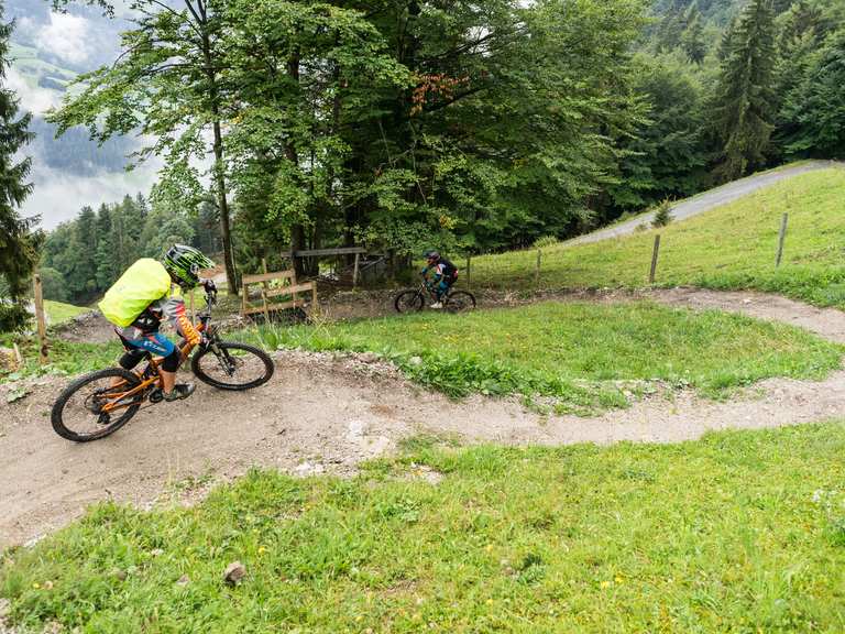ahooga klapprad Max: Kleinster Faltmechanismus auf dem Markt. Beste Fahrgefühle auf der Straße Camden_Reviews Review: POC Opsin Clarity Fitment:2018-Later M8 Softail Comp Sprocket Kit