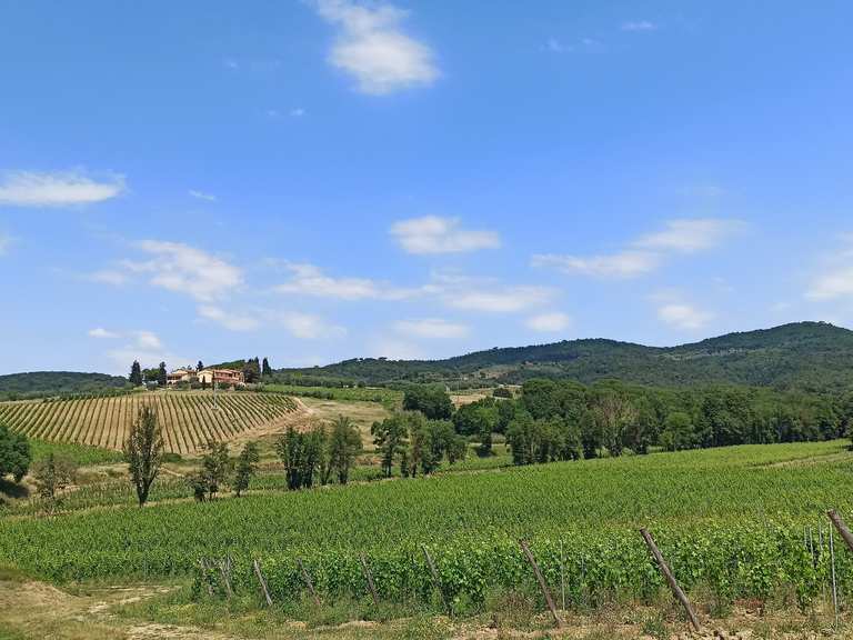 Le 20 escursioni e trekking migliori nei dintorni di San Casciano in