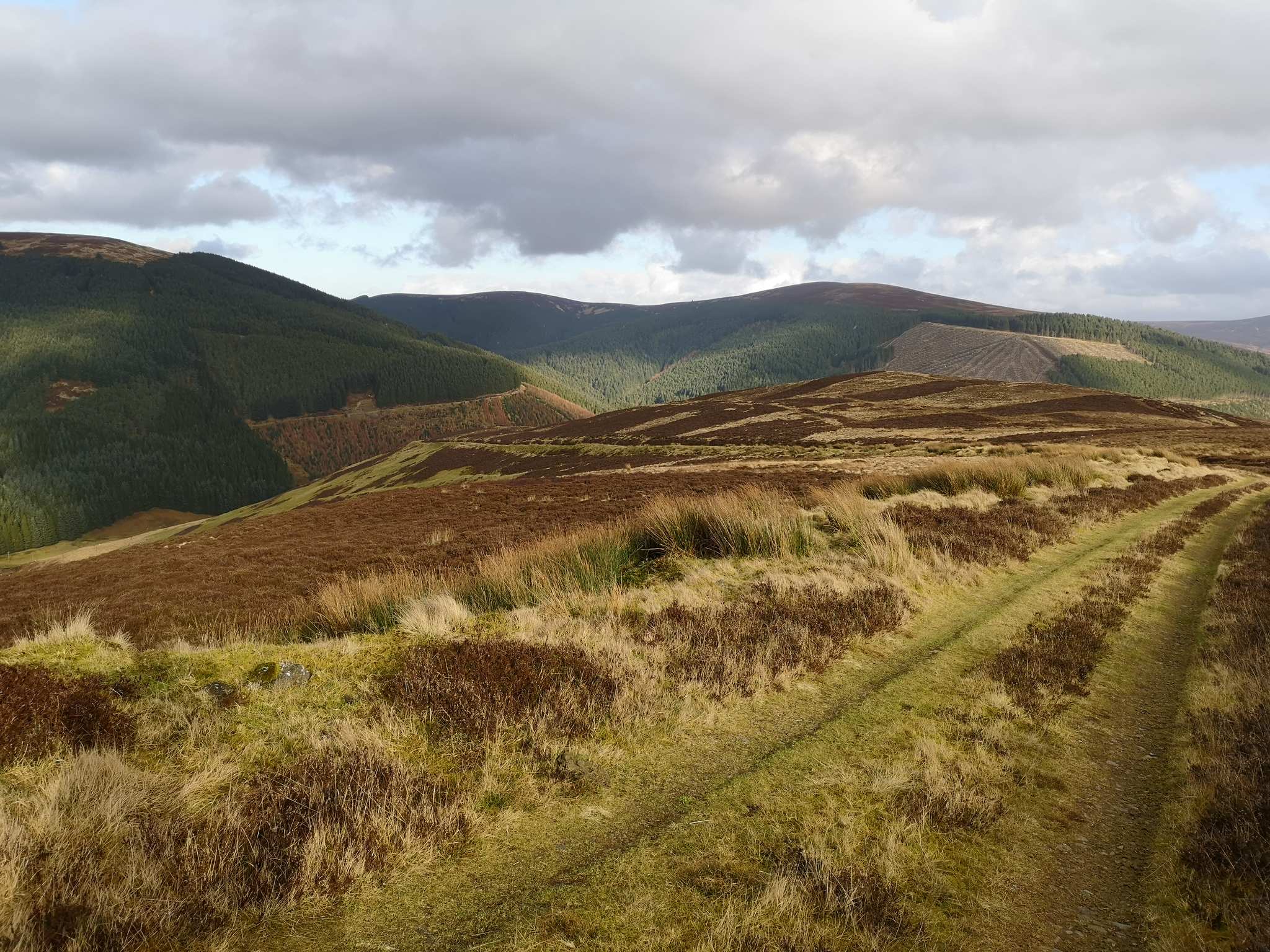Top 20 Bike Rides and Cycling Routes in Scottish Borders | Komoot