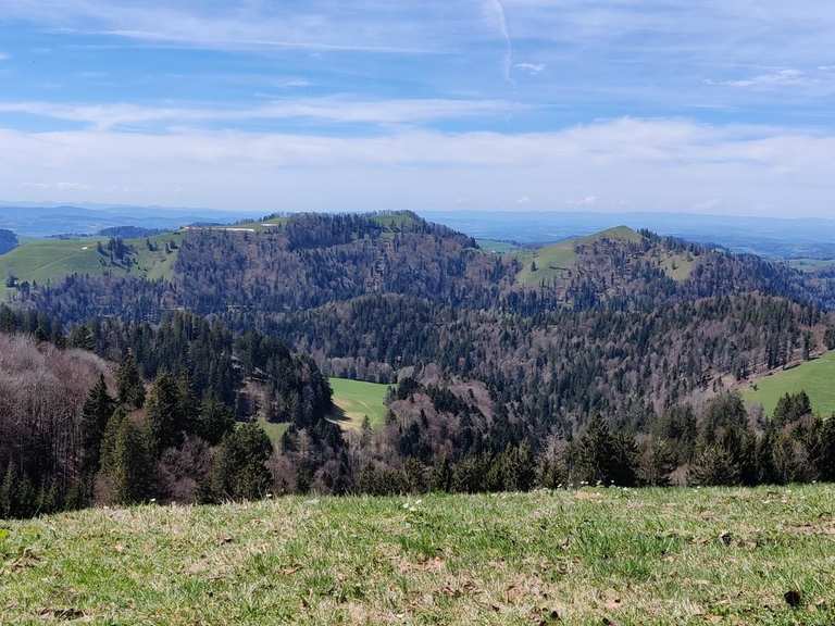 Die schönsten Wanderungen in See-Gaster | Komoot