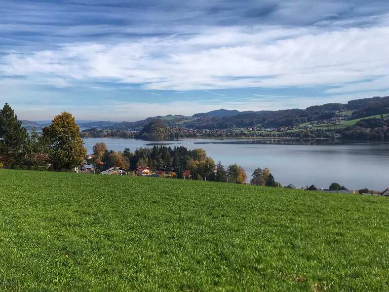Die schönsten Wanderungen rund um Seeham | Komoot