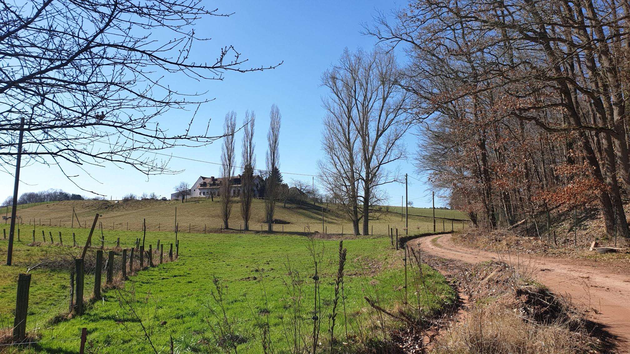 Top 10 Hikes and Walks around Sembach | Komoot