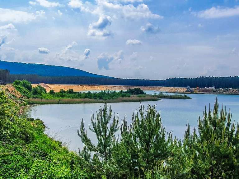 Die schönsten Wanderungen rund um Sengenthal | Komoot