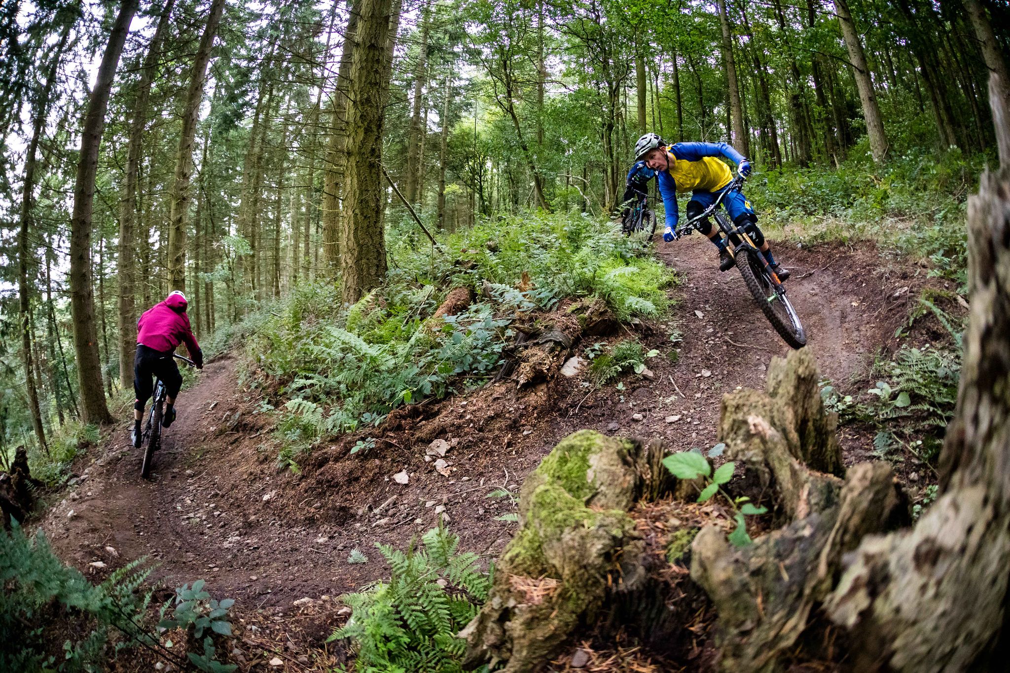 Top 10 Most Beautiful MTB Trails in Shropshire Komoot