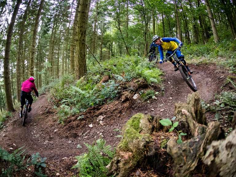 Hopton best sale mtb trails