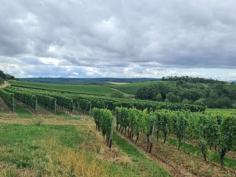 Siefersheim In Rheinland-Pfalz Erkunden – UVWPU
