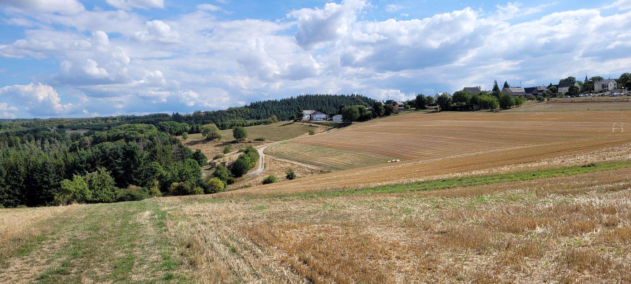 Die 10 schönsten Wanderungen rund um Sosberg | Komoot