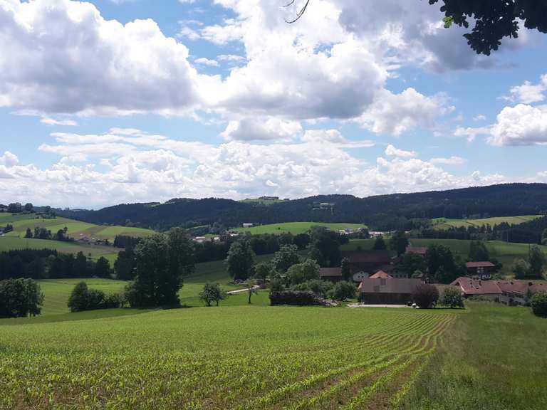 Die 10 schönsten Wanderungen rund um Wegscheid Komoot