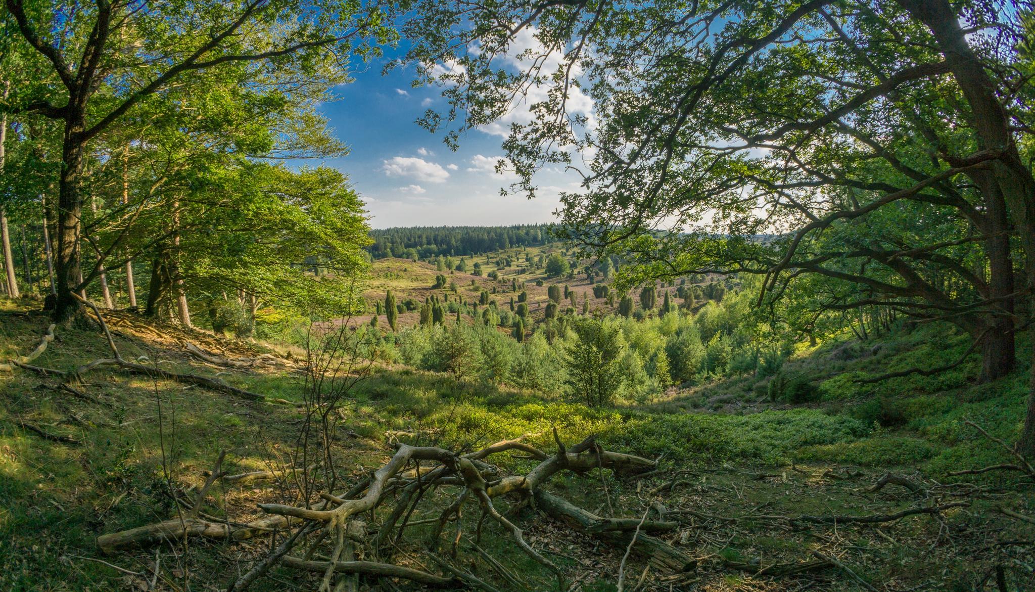 Die 10 Schönsten Wanderungen In Niedersachsen | Komoot