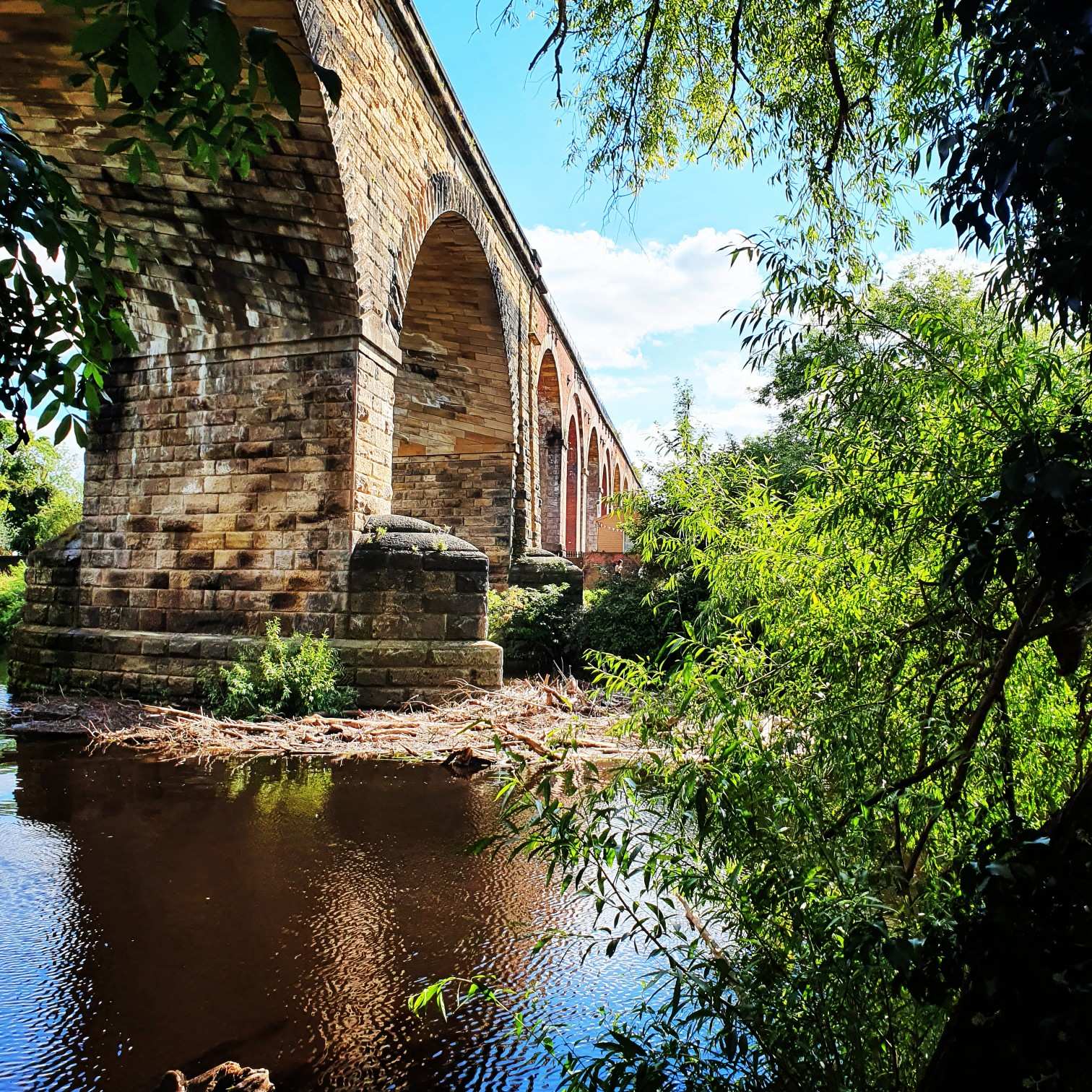 Top 20 Hikes and Walks around StocktononTees Komoot