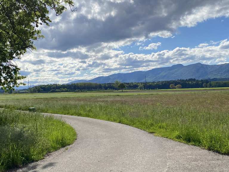 Die schönsten Wanderungen rund um Subingen | Komoot