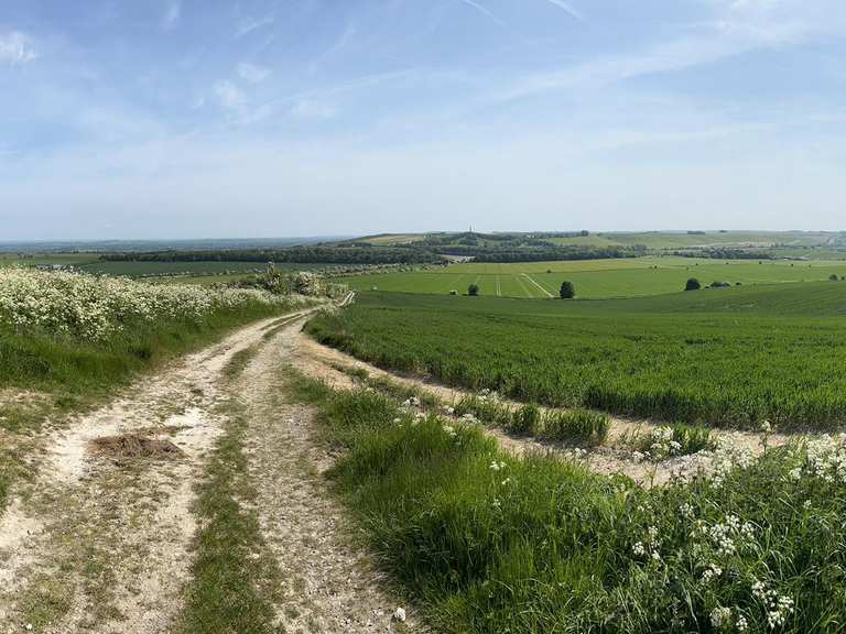 The best walks and hikes around Swindon | Komoot