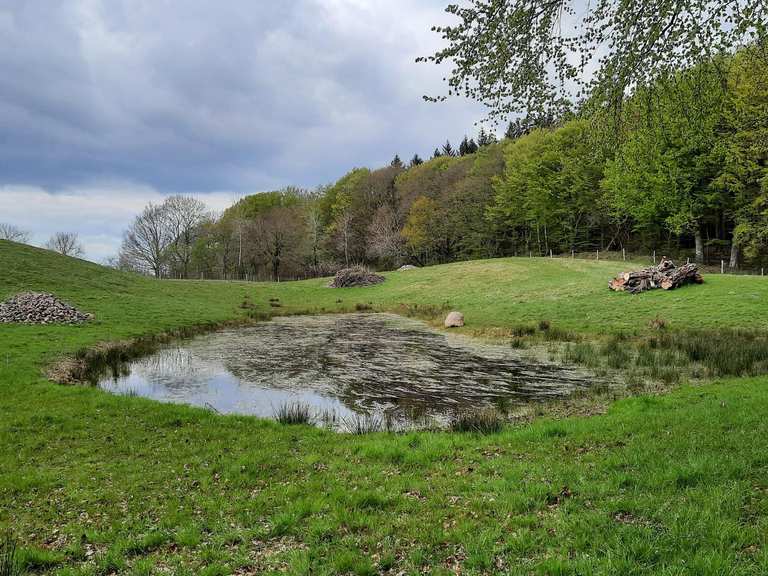 Die 10 schönsten Wanderungen rund um Tastrup | Komoot