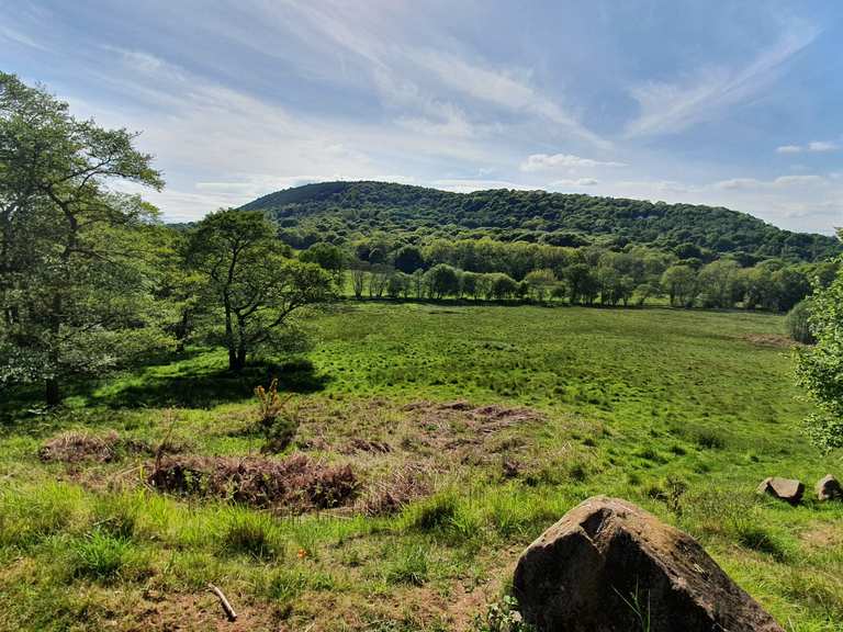 wrekin mtb trails