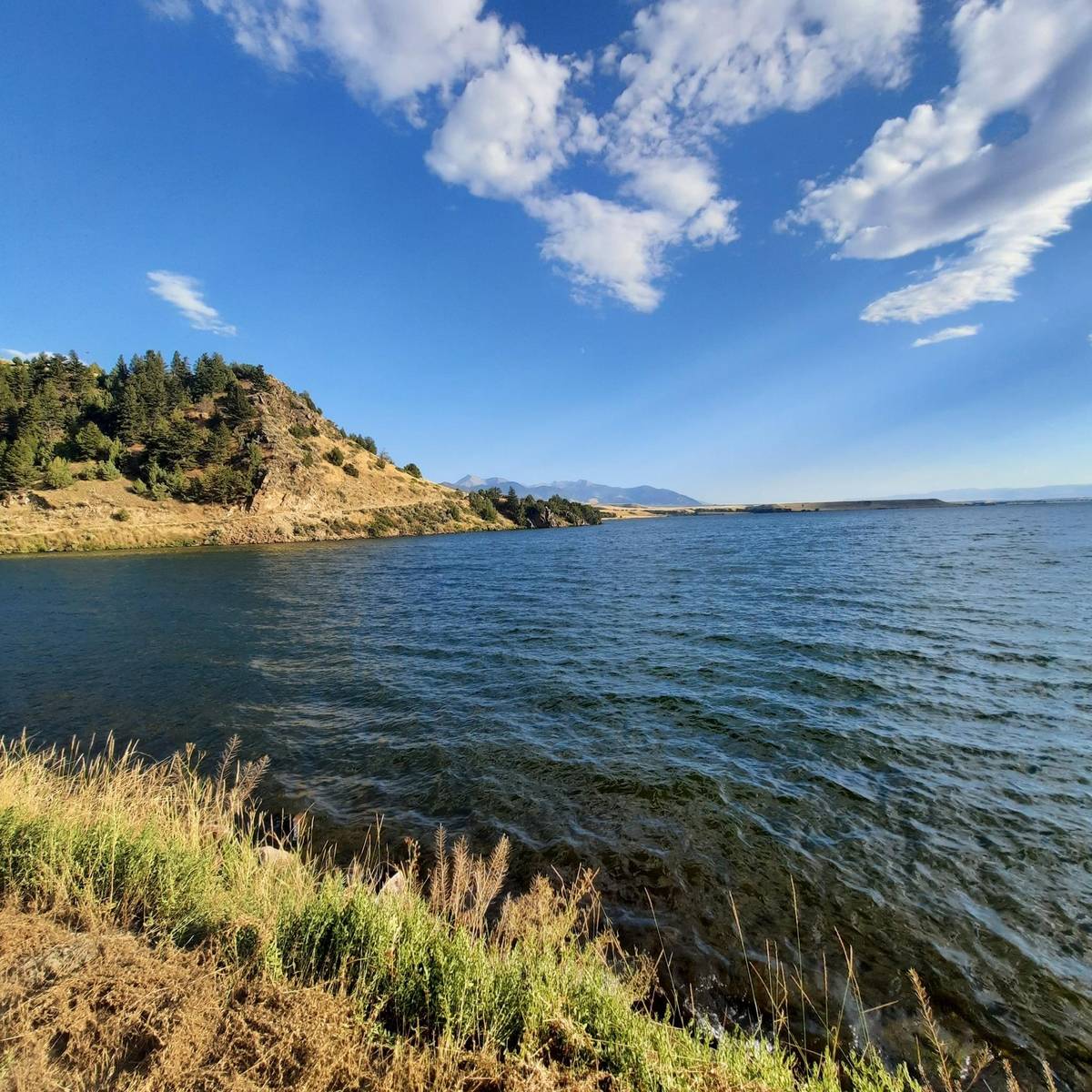 age to buy tobacco in wyoming 2023 Wyoming Adult Tobacco Survey – Wyoming Tobacco Prevention & Control  Evaluation
