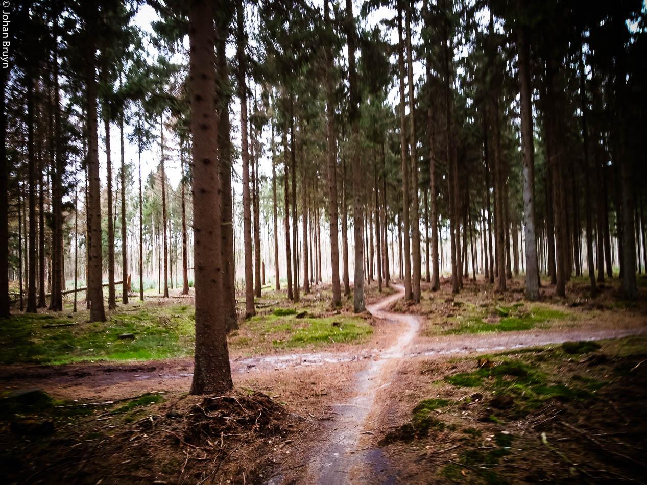 dirt jump trails