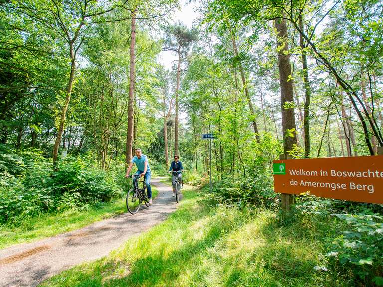 Top 20 pistes cyclables autour de