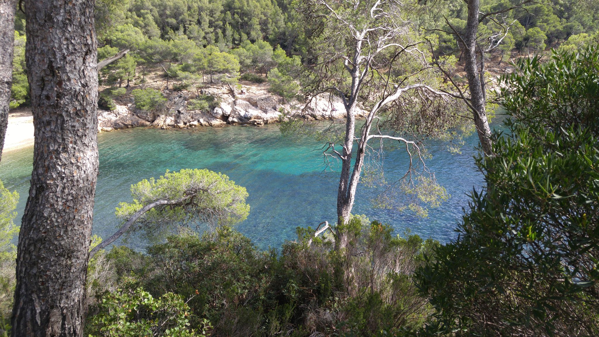 les excursions du var