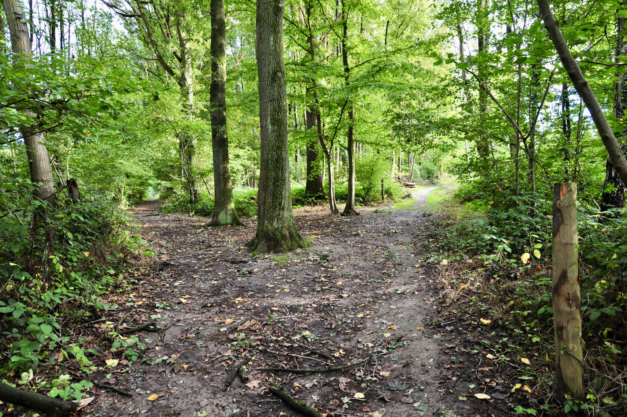 De 20 Mooiste Wandelroutes Rond Geraardsbergen | Komoot