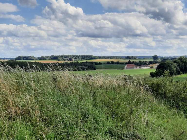 Les plus belles promenades et randonnées autour de Tubize | Komoot