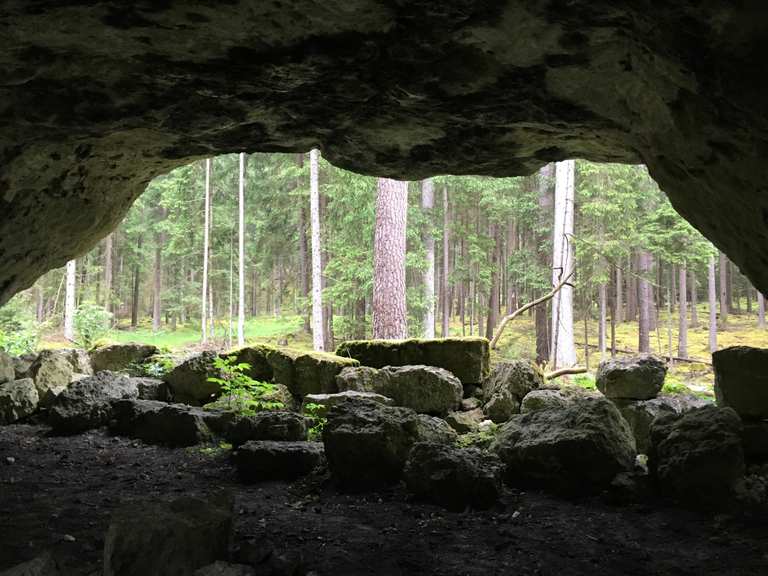 Die 10 schönsten Wanderungen im Veldensteiner Forst Komoot